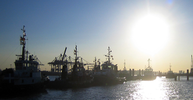 Hafen elblicht